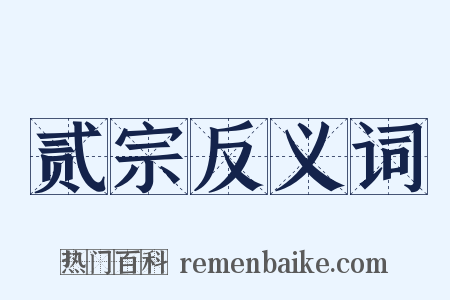 贰宗反义词是什么意思的图片